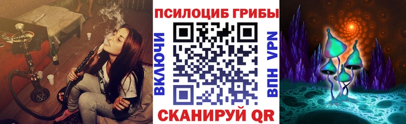 где купить наркоту  Нелидово  Галлюциногенные грибы GOLDEN TEACHER 
