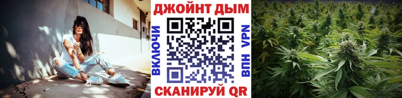 закладка Нелидово Конопля SATIVA & INDICA